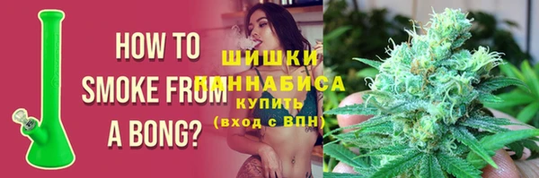ПСИЛОЦИБИНОВЫЕ ГРИБЫ Белокуриха