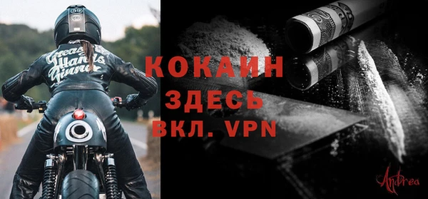 ПСИЛОЦИБИНОВЫЕ ГРИБЫ Белокуриха